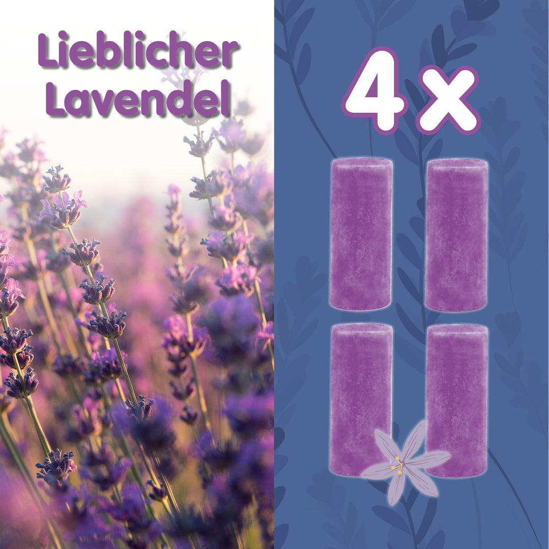 12er Set Reinigungssteine - Duft Bundle